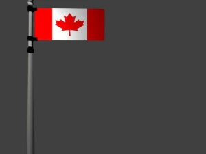 canadian flag 3D Model