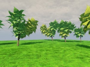 catalpa tree 3D Model