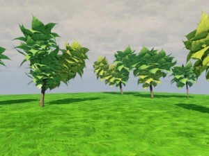 дерево катальпи 3D Модель