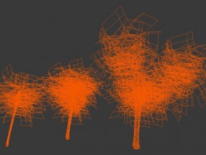 catalpa tree Model 3D