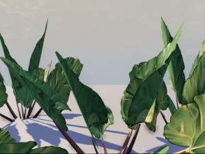 rhubarb plant 3D Model