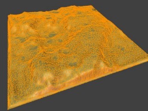islands model or heightmap 3D Model
