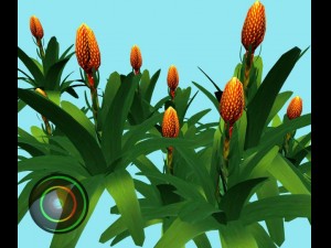 cone headed guzmania 3D Model