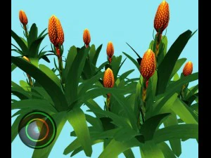 гузмания шишкоголовая 3D Модель