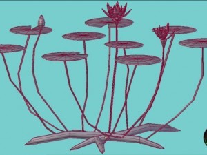 water lily 3D Model