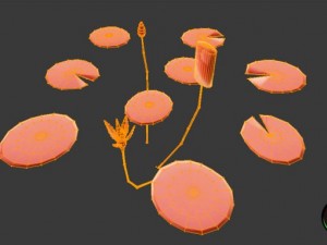 water lily 3D Model