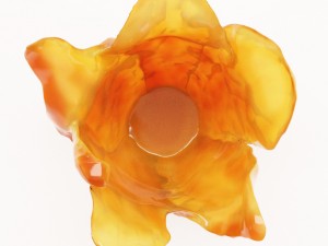 daum amber tulip vase 3Dモデル