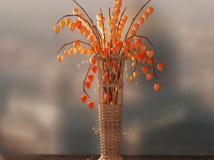 vase with physalis 3D Model