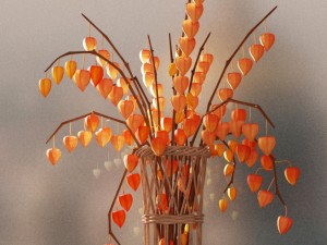 vase with physalis 3D Model