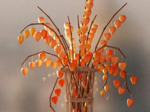 vase with physalis 3D Model