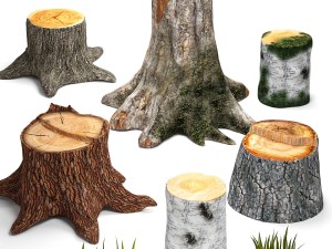 tree stumps collection 3D Модель