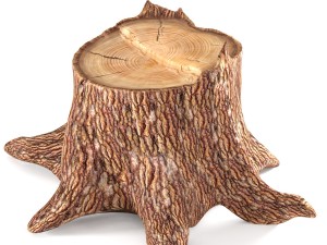 tree stumps collection 3D 模型