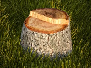 tree stumps collection 3D Model