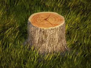 tree stumps collection 3D 模型