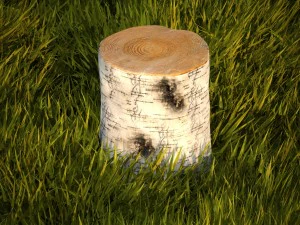 tree stumps collection 3D Model