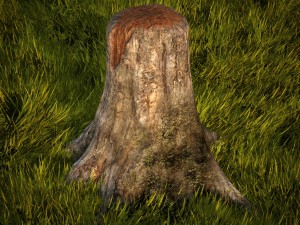 old tree stump Modelo 3D