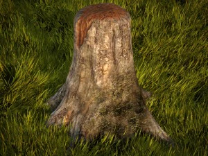 vecchio ceppo d'albero Modello 3D