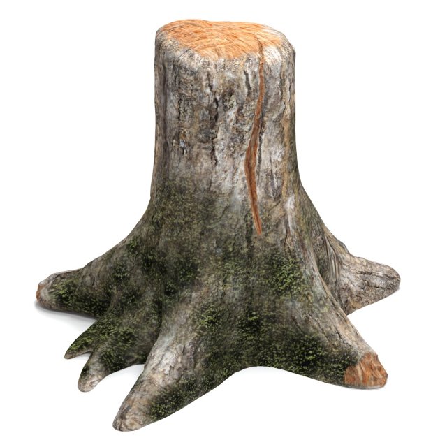 old tree stump 3D Models in Tree 3DExport