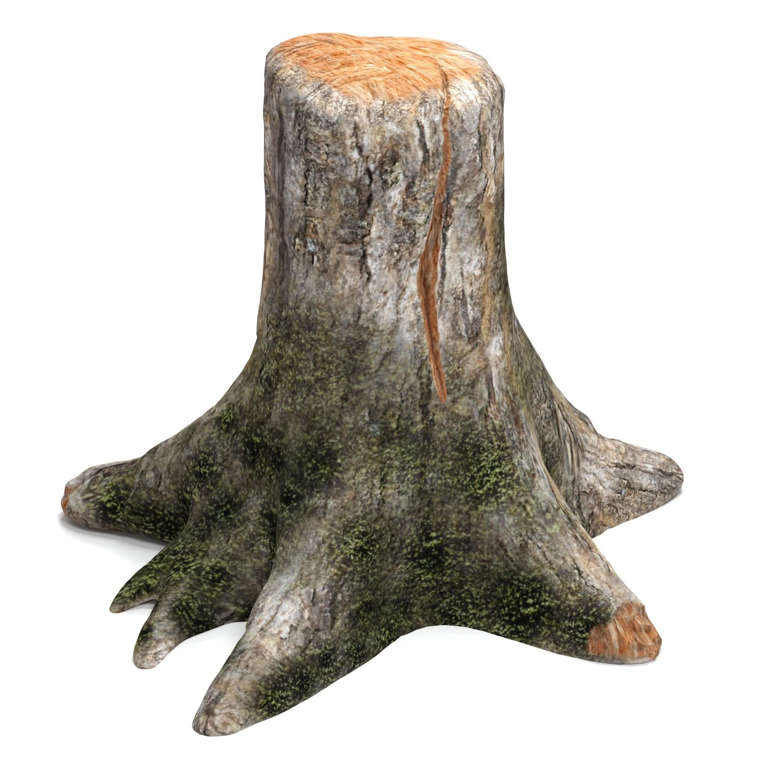 vecchio ceppo d'albero Modello 3D .c4d .max .obj .3ds .fbx .stl .blend 