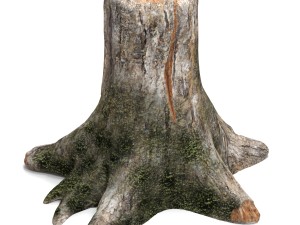 old tree stump 3D Модель