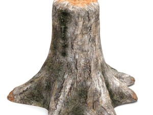 old tree stump Modelo 3D
