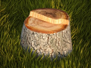 tree stump 3D Модель