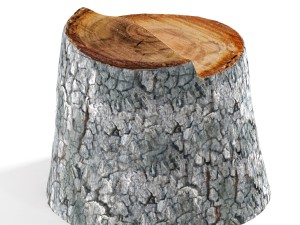 tree stump 3D 모델