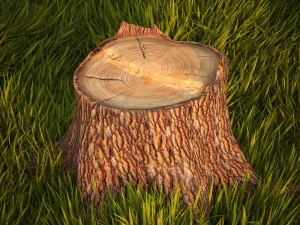 松の切り株 3Dモデル