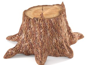 pine stump 3D Модель