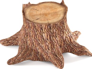 pine stump 3D Модель
