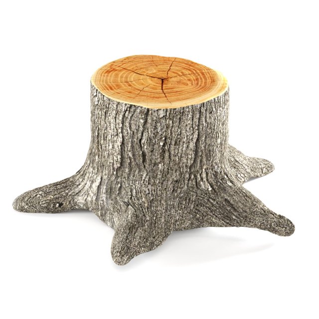 tree stump 3D 模型 .c4d .max .obj .3ds .fbx .stl .blend 