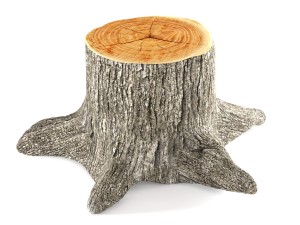tree stump 3D 模型