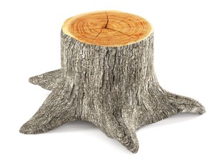 tree stump 3D 模型