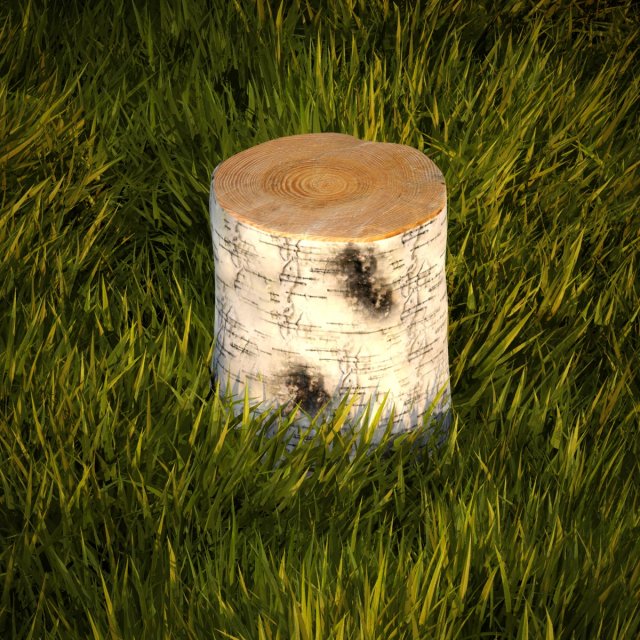 birch stump 3D Модель .c4d .max .obj .3ds .fbx .stl .blend 