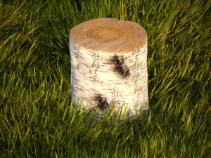 birch stump 3D Model