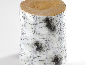birch stump 3D Модель
