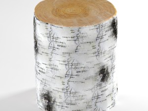 birch stump 3D Модель