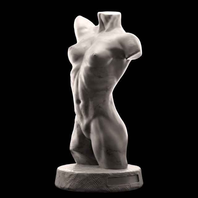 female torso 3D 模型 .c4d .max .obj .3ds .fbx .stl .blend 