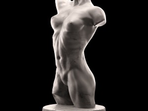 female torso 3D Модель
