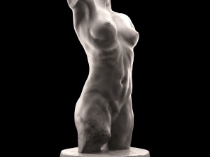 female torso 3D 模型