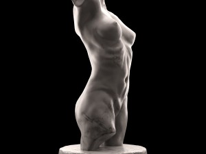 female torso 3D 模型
