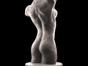 female torso 3D 模型