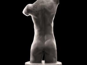 female torso 3D 模型