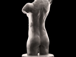female torso 3D 模型