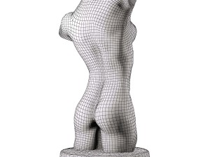female torso 3D 模型