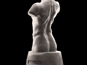 man torso 3D Модель