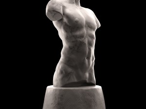 man torso 3D Model