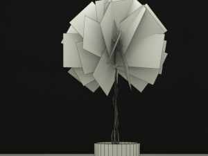 fisuc nitida 3D Model