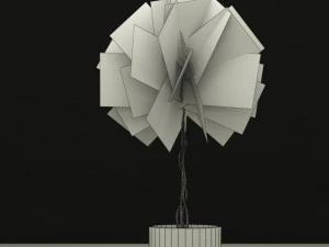 fisuc nitida 3D Model