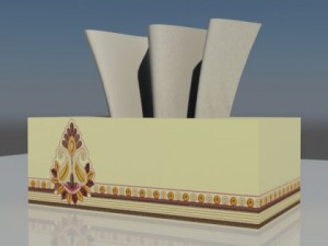 tissue box 3D मॉडल